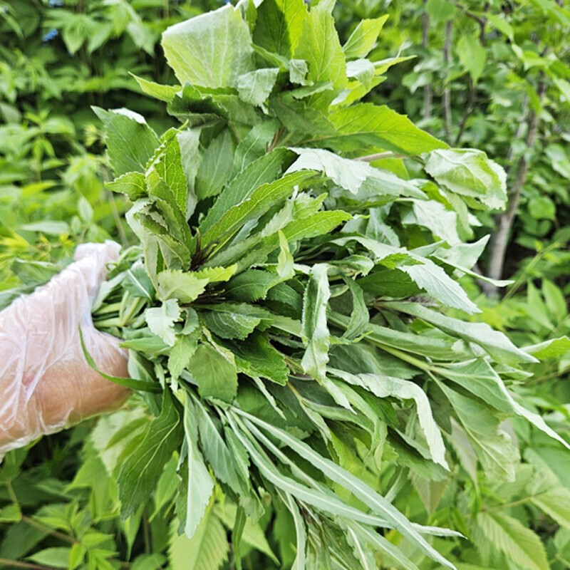 삼둔 영농조합법인,강원도 홍천잔대순 장아찌 1kg